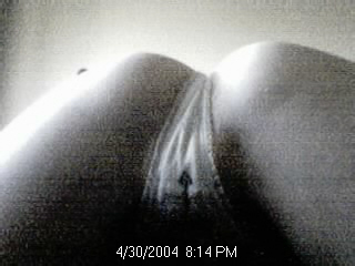 picture6.jpg